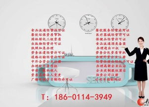 專業(yè)代理網(wǎng)絡(luò)文化經(jīng)營許可證審批 全面指南與實(shí)際操作